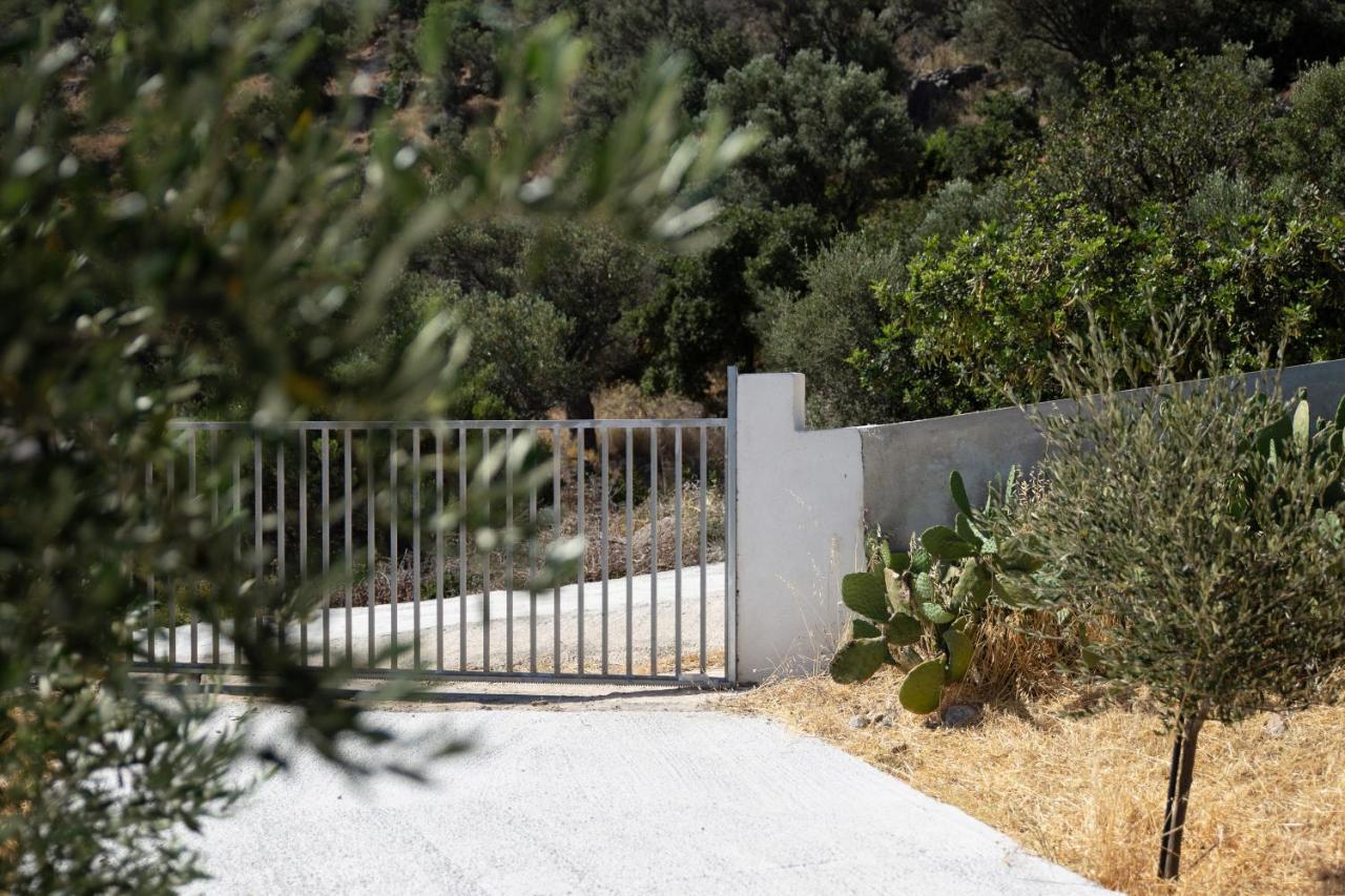 Triopetra Green Dream Dış mekan fotoğraf